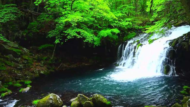 逃离废弃楼层4